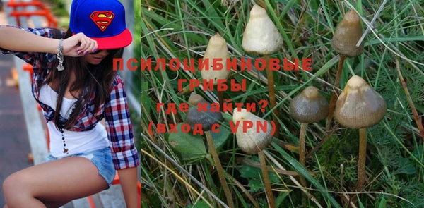 мет Вяземский