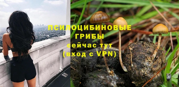 гидропоника Вязьма