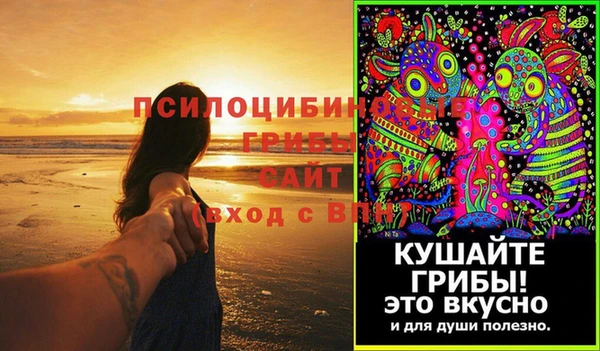 гидропоника Вязьма