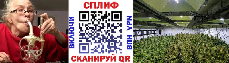 Купить закладки  Шахты  Бошки Шишки THC 21% 